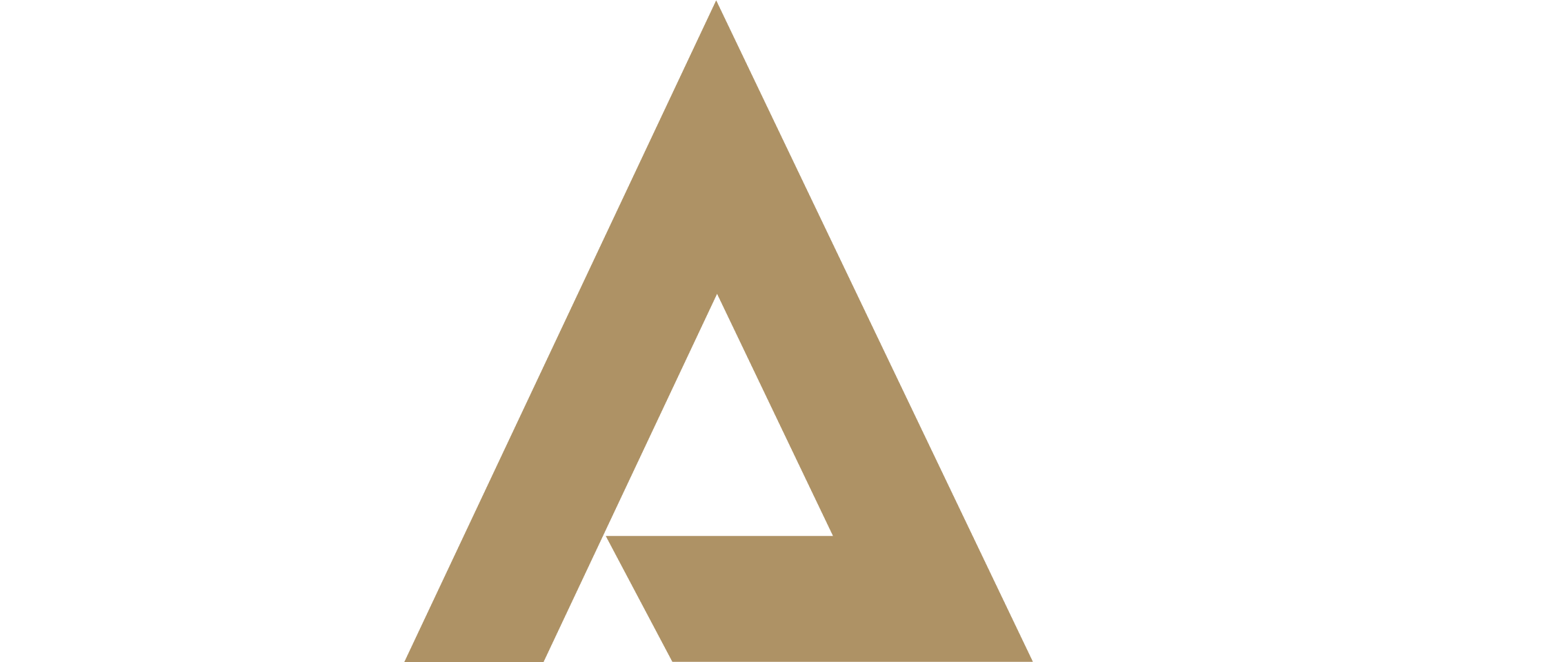 CAP – Construction And Project Management OSD AB